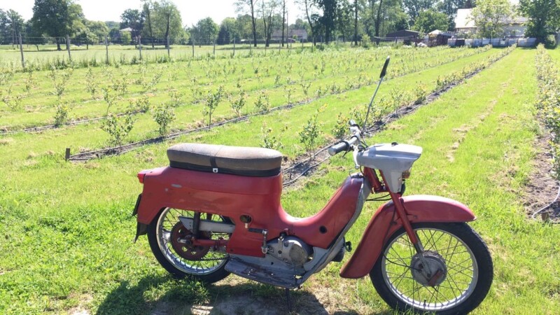 Jawa 50 typ 20 - obrazek 2